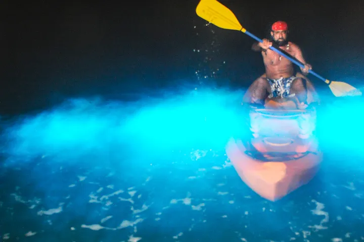 a person on a kayak in bioluminescent water